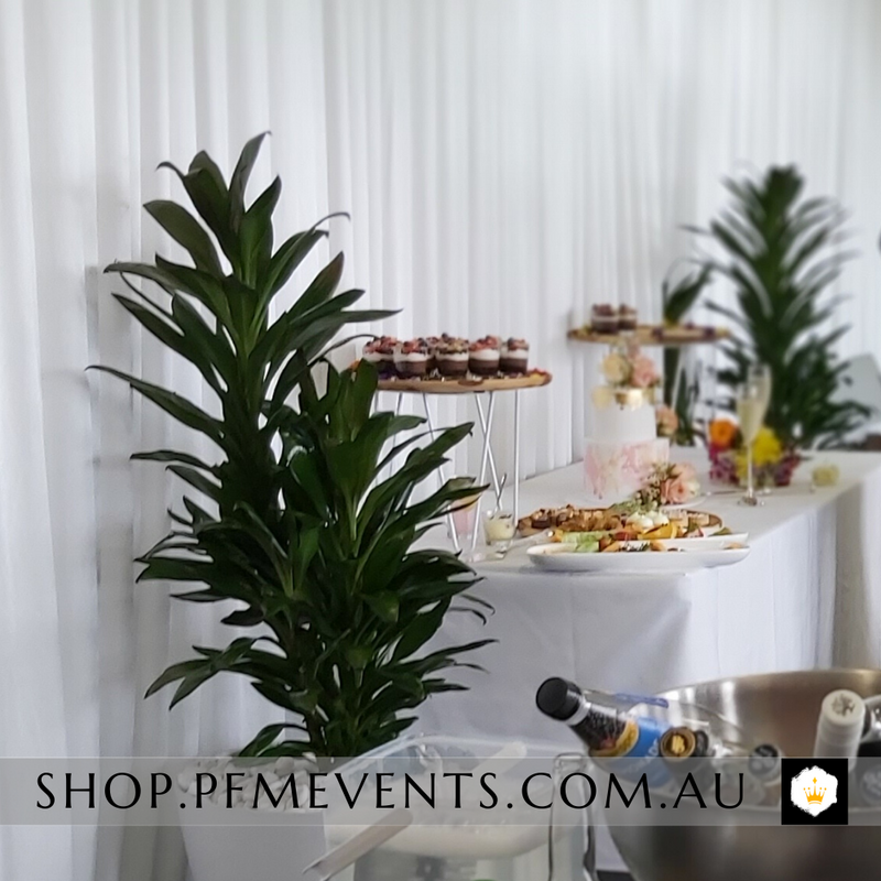 Guaca Plant Hire Launch Event Melbourne Weddings