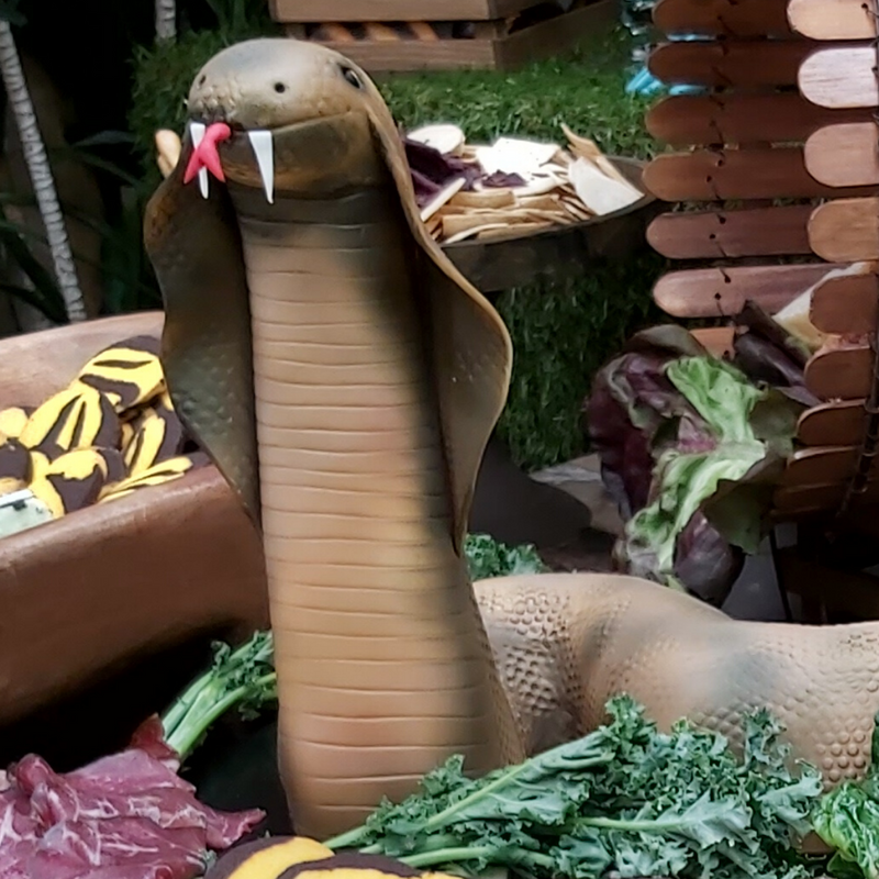 Giant Snake Cake Launch Event Melbourne Weddings